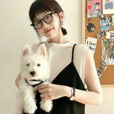 梅林与龙之战
